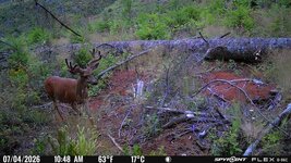 IMG_1764.jpeg