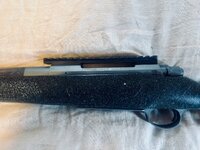IMG_2815.jpeg