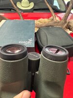 IMG_3335.jpeg