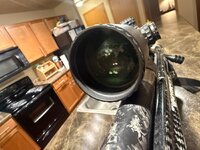 IMG_8458.jpeg