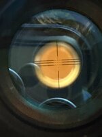 IMG_8866.jpeg