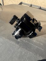 IMG_6917.jpeg