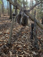 IMG_5908.jpeg