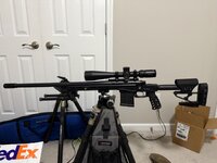 IMG_7840.jpeg