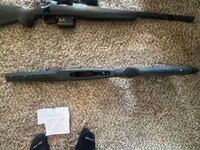 IMG_5523.jpeg
