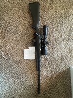 IMG_5519.jpeg