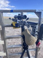 IMG_4140.jpeg