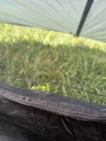 IMG_3748.jpeg