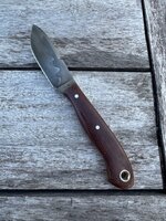 IMG_6304.jpeg