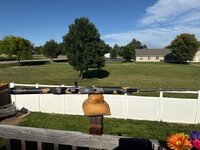 IMG_4435.jpeg