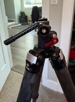 IMG_0702.jpeg