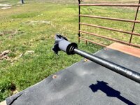 IMG_3917.jpeg