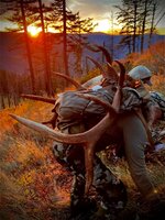IMG_1514.jpeg