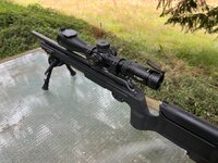 IMG_6356.jpeg
