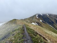 IMG_7741.jpeg