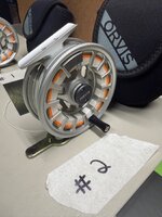 IMG_0234.jpeg