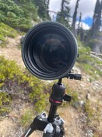 IMG_7929.jpeg