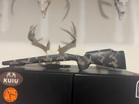 IMG_9199.jpeg IMG_9199.jpeg