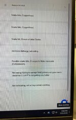 IMG_0728.jpeg