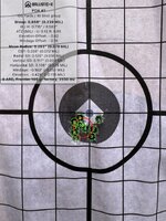 IMG_1033.jpeg