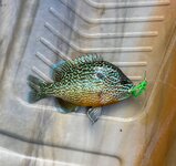 IMG_8839.jpeg