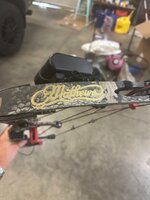 IMG_5386.jpeg IMG_5386.jpeg