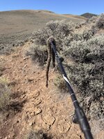IMG_0457.jpeg