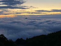 IMG_5665.jpeg