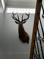 IMG_5664.jpeg