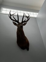 IMG_5661.jpeg