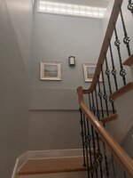 IMG_5478.jpeg