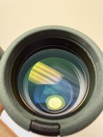 IMG_0279.jpeg