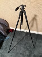IMG_0054 2.jpeg