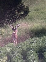 IMG_6318.jpeg