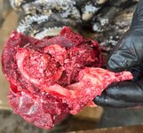elk bone 2.jpeg