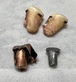 Elk bone.jpeg