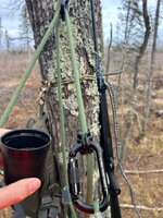 IMG_0556.jpeg
