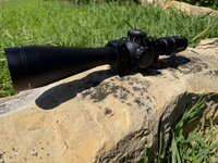 IMG_9558.jpeg