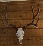 IMG_1200.jpeg