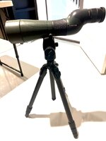 IMG_8924.jpeg