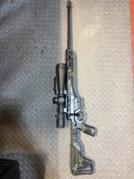 IMG_9641.jpeg