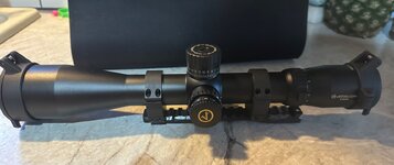 IMG_1103.jpeg