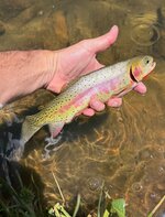 IMG_6084.jpeg