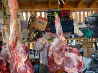 IMG_4493.jpeg
