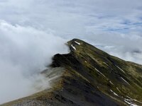 IMG_7752.jpeg