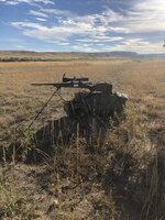 IMG_1072.jpeg