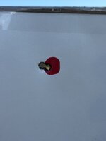 IMG_8166.jpeg