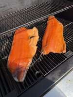 IMG_0705.jpeg