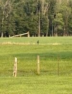IMG_6170.jpeg