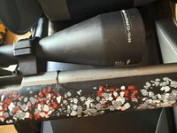 IMG_2270.jpeg